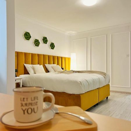 Studio 118 - A Luxury Place,10Min Walk To City Center Τιμισοάρα Εξωτερικό φωτογραφία