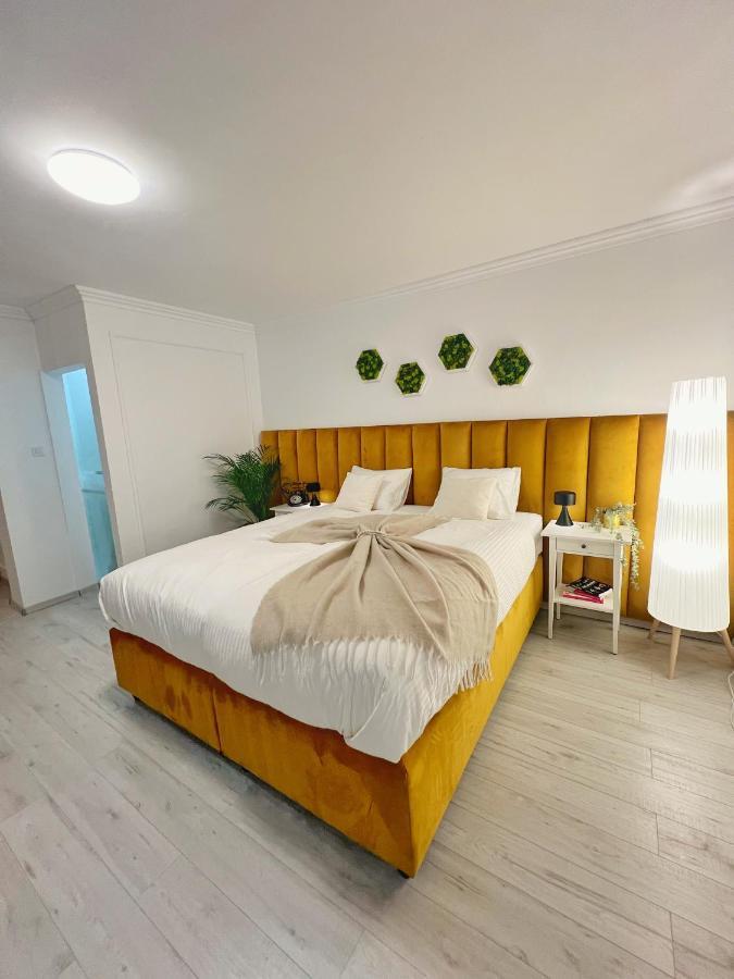 Studio 118 - A Luxury Place,10Min Walk To City Center Τιμισοάρα Εξωτερικό φωτογραφία
