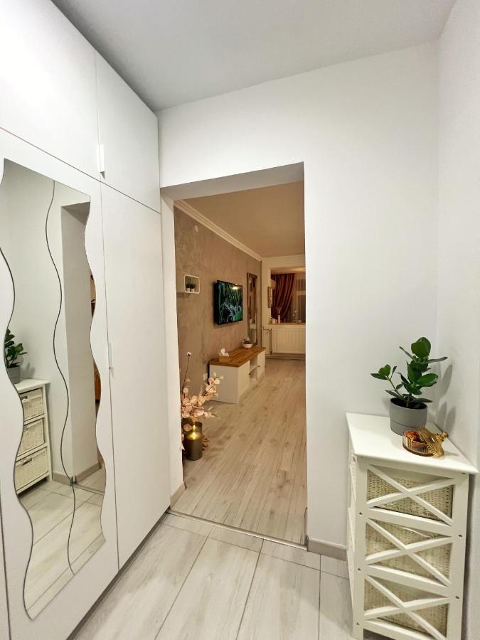 Studio 118 - A Luxury Place,10Min Walk To City Center Τιμισοάρα Εξωτερικό φωτογραφία