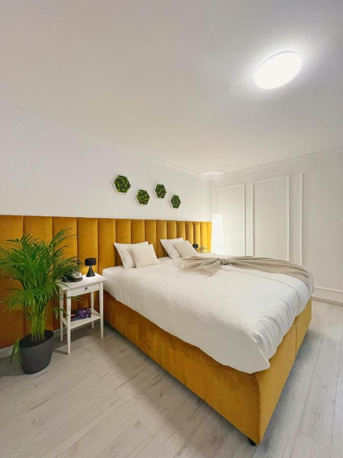 Studio 118 - A Luxury Place,10Min Walk To City Center Τιμισοάρα Εξωτερικό φωτογραφία